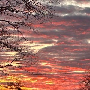 Meet your Posher, Raylyn